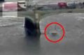 A CCTV camera captured the moment a woman, circled, plummeted from the Westminster Bridge into the River Thames.