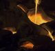 A 3 per cent overnight drop in iron ore prices didn't stop Australia's miners helping the index claw back some of ...