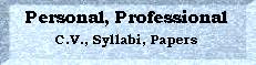 Personal and Professional: c.v., syllabi, papers