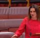 A tearful Jacqui Lambie attacks cuts to welfare in the Senate on Wednesday night.