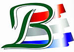 BoerestadtParty logo.jpg