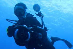 Florida snorkelling