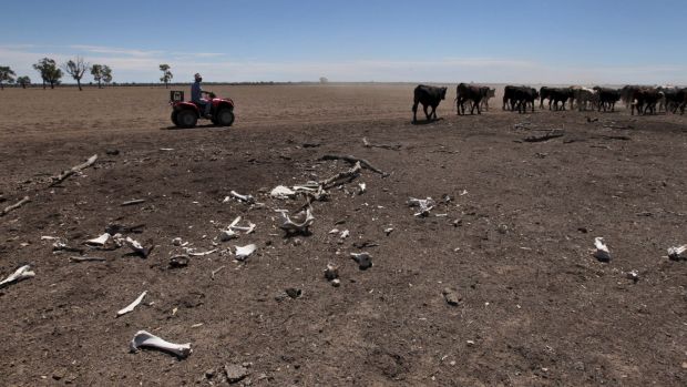 South-east Queensland could return to water restrictions in 2018, if the recent rainfall doesn't break the drought.