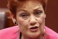 Pauline Hanson is risking sensible debate about how to raise immunisation levels. 