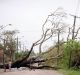 The Queensland towns of Innisvail, Mission Beach, Tully and Cardwell where hit hardest by Yasi in 2011.