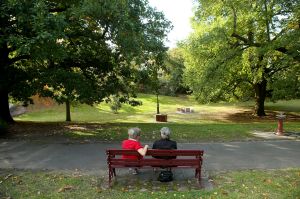 Canterbury Gardens