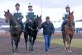 In the blood: Ben Hayes rides out with brothers JD and Will and father David at Flemington.