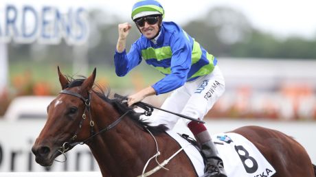 Arc dreaming: Hugh Bowman punches the air after Jameka's win in the BMW at Rosehill on Saturday.