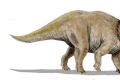 Triceratops belongs to the 'black-sheep' Ornithischia group.