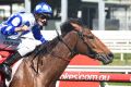 Getting the gold: Regan Bayliss wins on Harlow Gold at Caulfield in the spring.