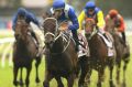 Donkey-licked: Hugh Bowman rides Winx to win the George Ryder Stakes.