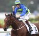 Hugh Bowman rides Jameka to win race 6, The BMW, during Sydney Racing at Rosehill Gardens racecourse