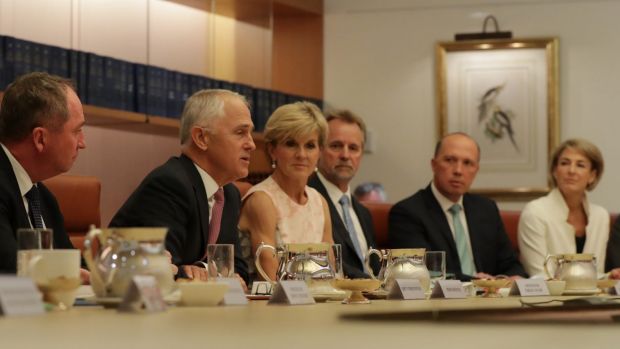 Political class: 42 per cent of Malcolm Turnbull's cabinet ministers have been employed as political staffers and party ...