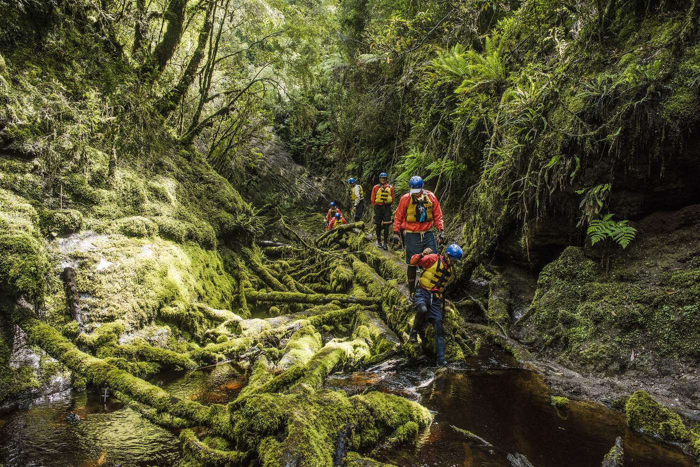 One of the most popular stops on the Franklin River journey is the lush oasis known as The Lost World.