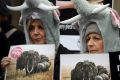 Members of the Action For Elephants group in elephant outfits take part in a demonstration against the ivory trade in ...