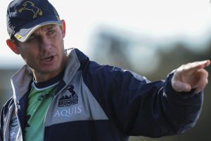 ACT Brumbies coach Stephen Larkham will stick with his rotation policy for the remainder of the season.