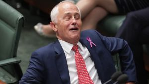 Prime Minister Malcolm Turnbull is an example of a posh Aussie.