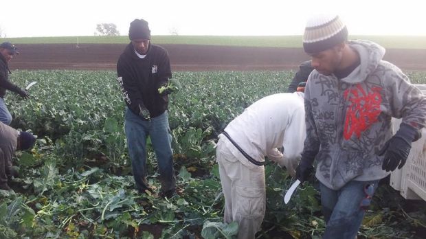 Seasonal workers from Vanuatu who were exploited on Queensland farms.