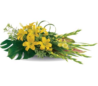 Warm Thoughts for flower delivery australia wide