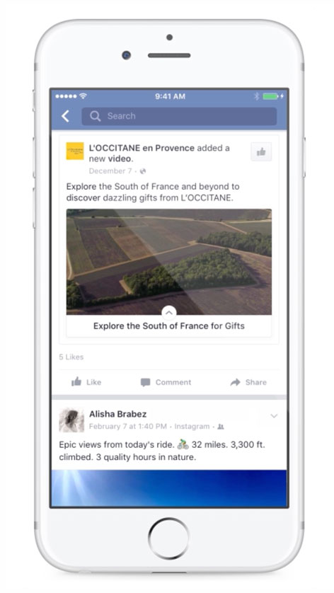 Facebook Canvas advert example from L'Occitane on mobile