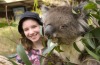 A koala at Cleland National Park.