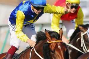 Good draw: Le Romain's (L) hopes of winning the Doncaster boosted.