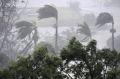 Wind and rain lashes Airlie Beach as Cyclone Debbie blows in on Tuesday.