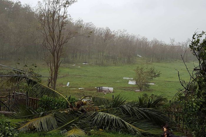 Cyclone Debbie has destroyed some of Proserpine pig farmer Christina della Velle's pig shelter sheds