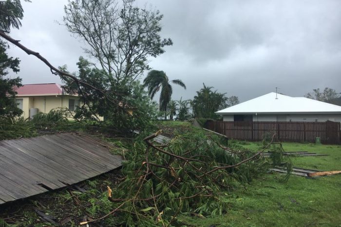 A fence lying on the ground underneath broken tree branches.