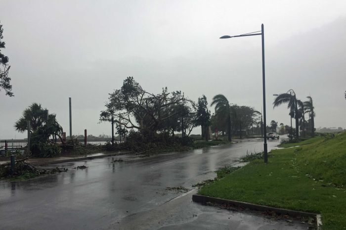 Trees were toppled along the Bowen foreshore.