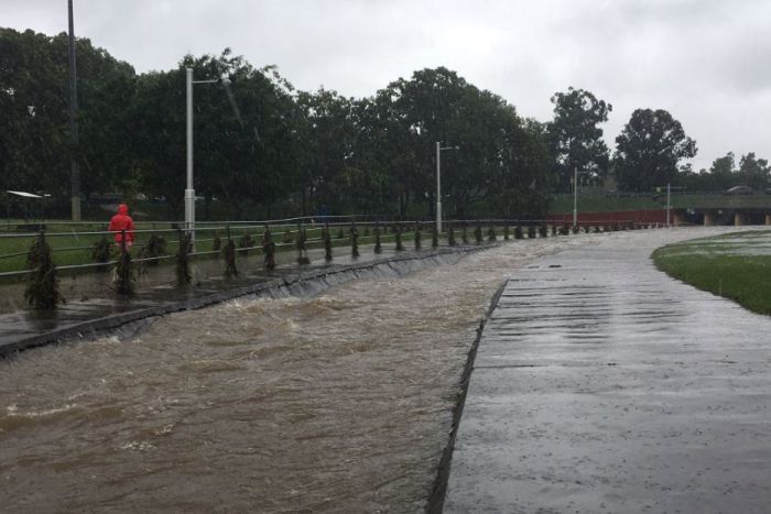 Stormwater drains filled with water near Greenslopes