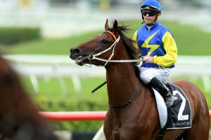 04032017. Sydney Races. Jockey Glyn Schofield rides Le Romain to win race 5, The Canterbury BMW Stakes, during Sydney ...