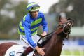 Jameka, ridden by Hugh Bowman to a seven-length victory in The BMW at Rosehill, may become a globetrotter.