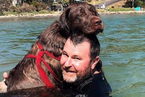 Gus the dog and Michael Birchall at Wimbie Beach as taken by Michael's daughter Katelyn. The shot won the people's ...