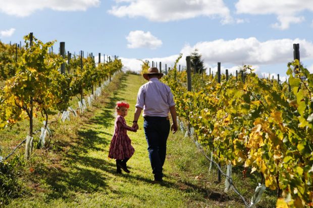 Borrodell Vineyard, Orange: The region is famous for fine wines.