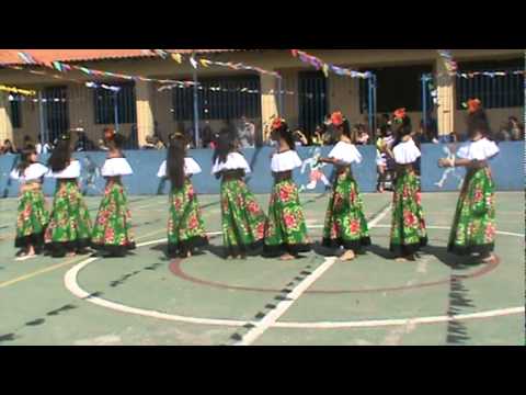 meninas do carimbó escola Augusto Olímpio