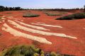 The Royal Botanic Gardens, Cranbourne-style.