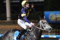 Reaching for the sky: Chautauqua has been confirmed as Everest contender after his part-owner Greg Ingham purchased a slot.
