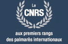 Palmars CNRS