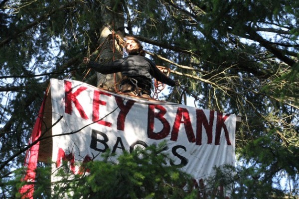 84393bainbridgetree-protest