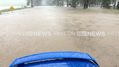 Man gets covered in insects while trapped on top of car in Queensland floodwaters 