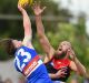 Jordan Roughead and Max Gawn in action. Roughead later hurt his knee.