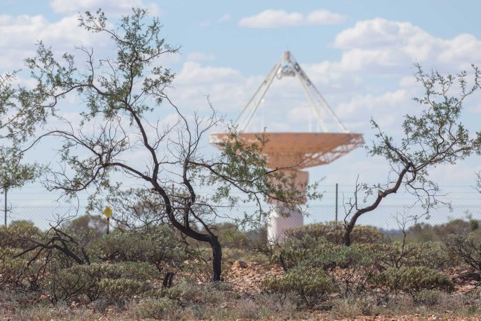 A satellite dish on the horizon near trees