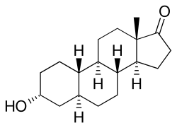 19-Norandrosterone.svg