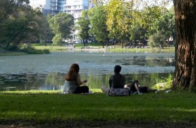 New York's leafy Central Park. City trees that are loved by people have far better chances of survival.