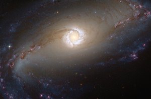 File - The Hubble Space Telescope captured a spectacular image of the bright star-forming ring that surrounds the heart of the barred spiral galaxy NGC 1097.  This face-on galaxy, lying 45 million light-years away from Earth in the southern constellation of Fornax (The Furnace), is particularly attractive for astronomers.