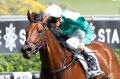 Blake Shinn rides Free Standing to win The Newhaven Park Country Championships final at Randwick.