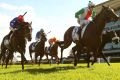 Red-letter day: Damian Lane races clear on Jon Snow to win the Australian Derby.