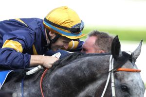 Grey flash: Trainer Michael Hawkes greets Tommy Berry after riding Chautauqua to win the TJ Smith Stakes.