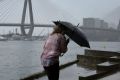 Rain and damaging winds are forecast for Sydney for Thursday.